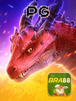 Recursos App BRA88